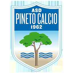 Gagliardetto squadra  Stemma squadra